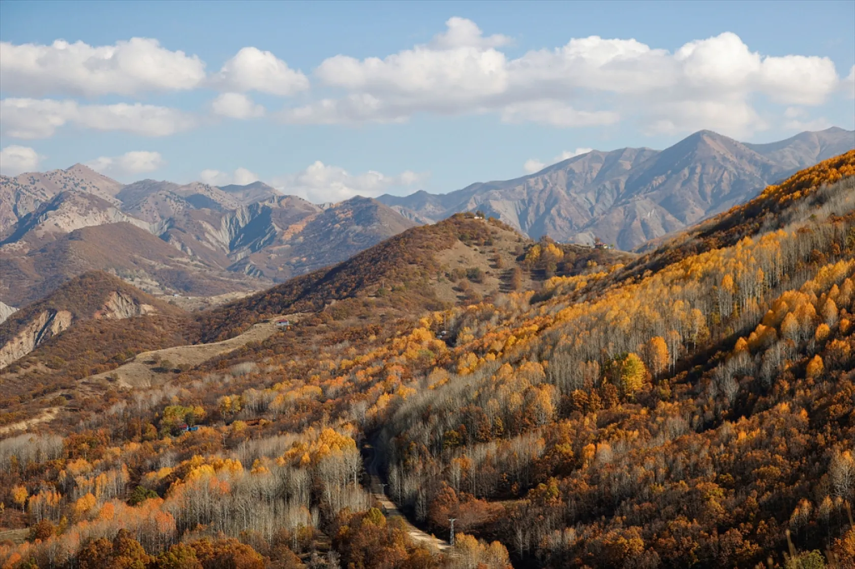 Salördek ormanları güz renklerine büründü