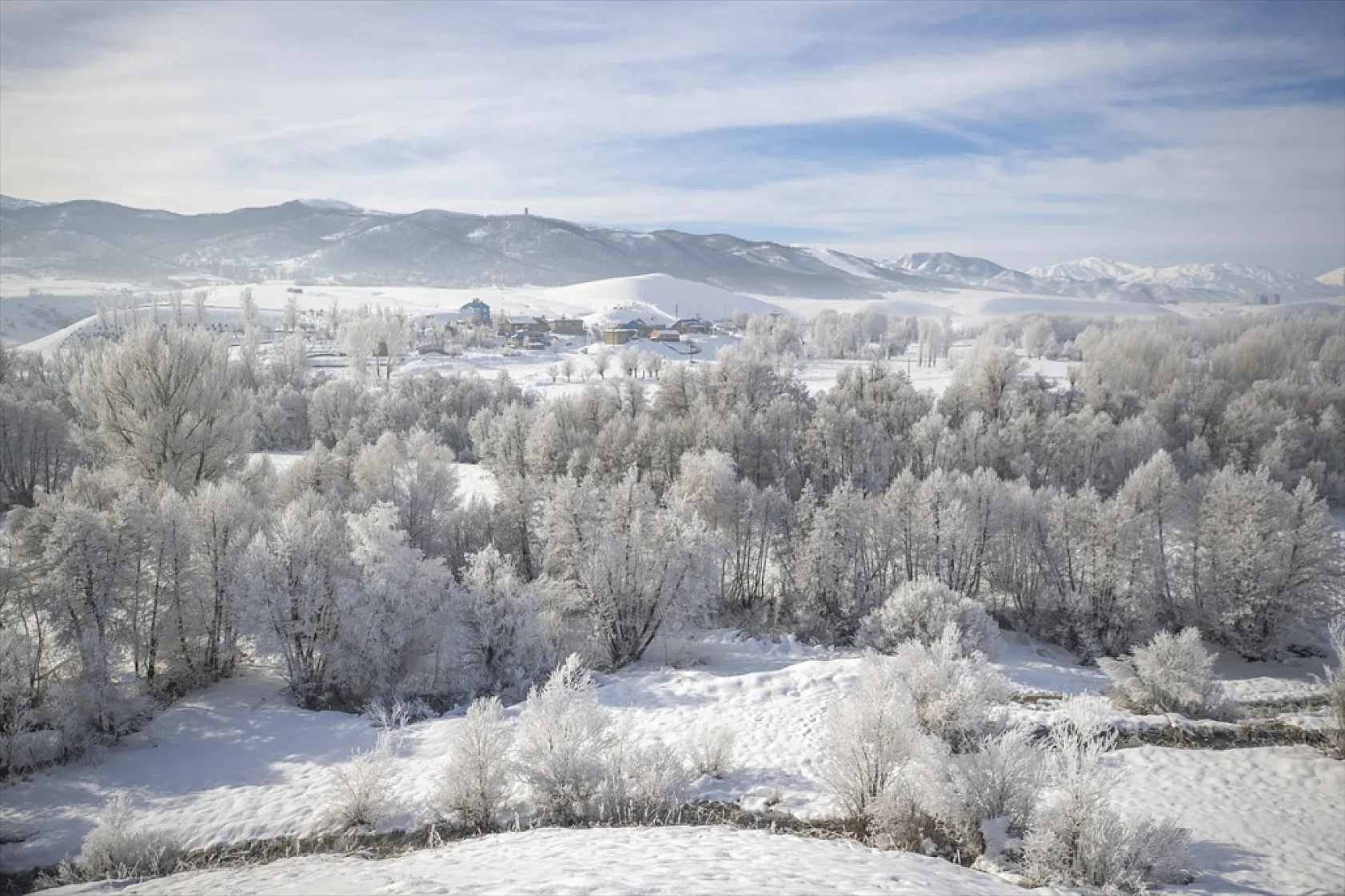 Soğuk hava nedeniyle ağaçlar kırağı tuttu