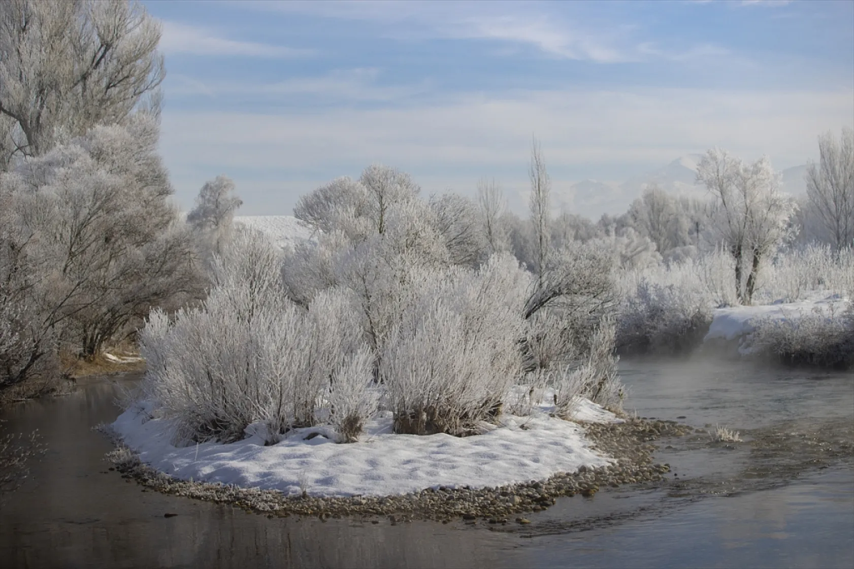 Soğuk hava nedeniyle ağaçlar kırağı tuttu