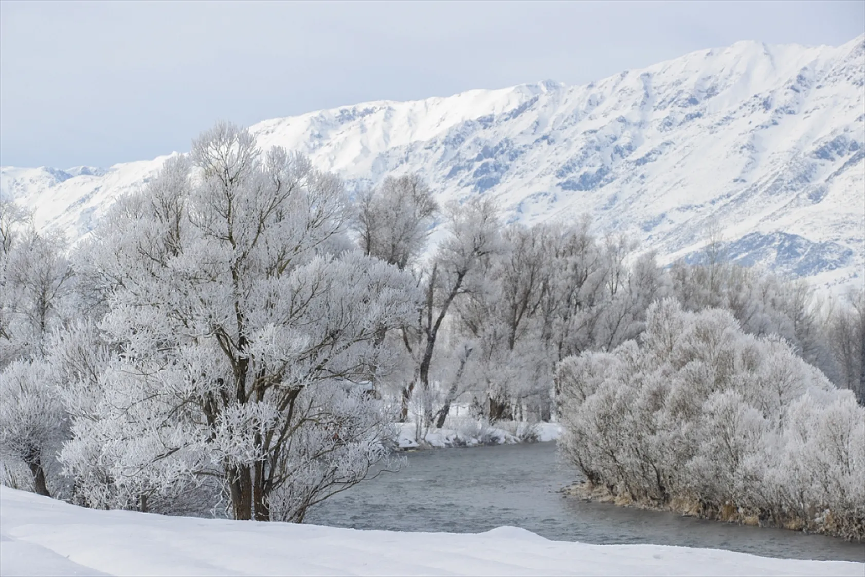 Soğuk hava nedeniyle ağaçlar kırağı tuttu