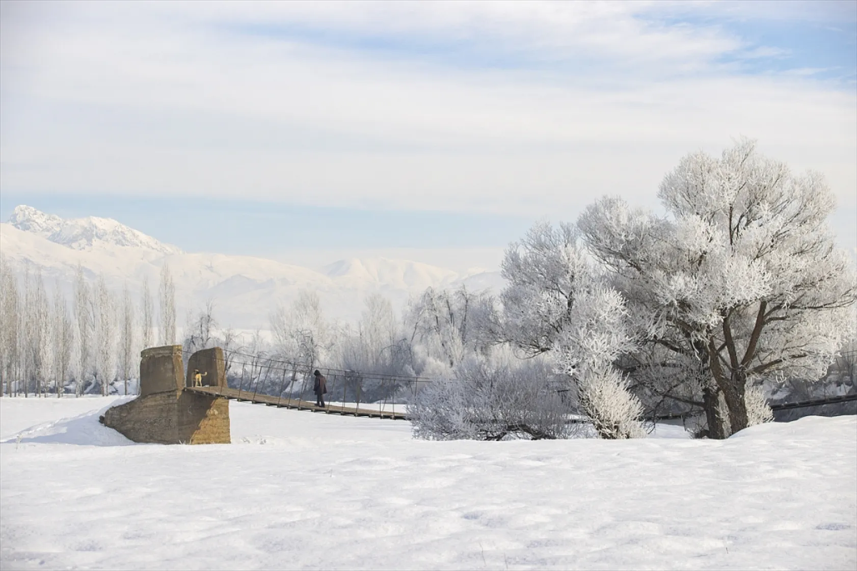 Soğuk hava nedeniyle ağaçlar kırağı tuttu