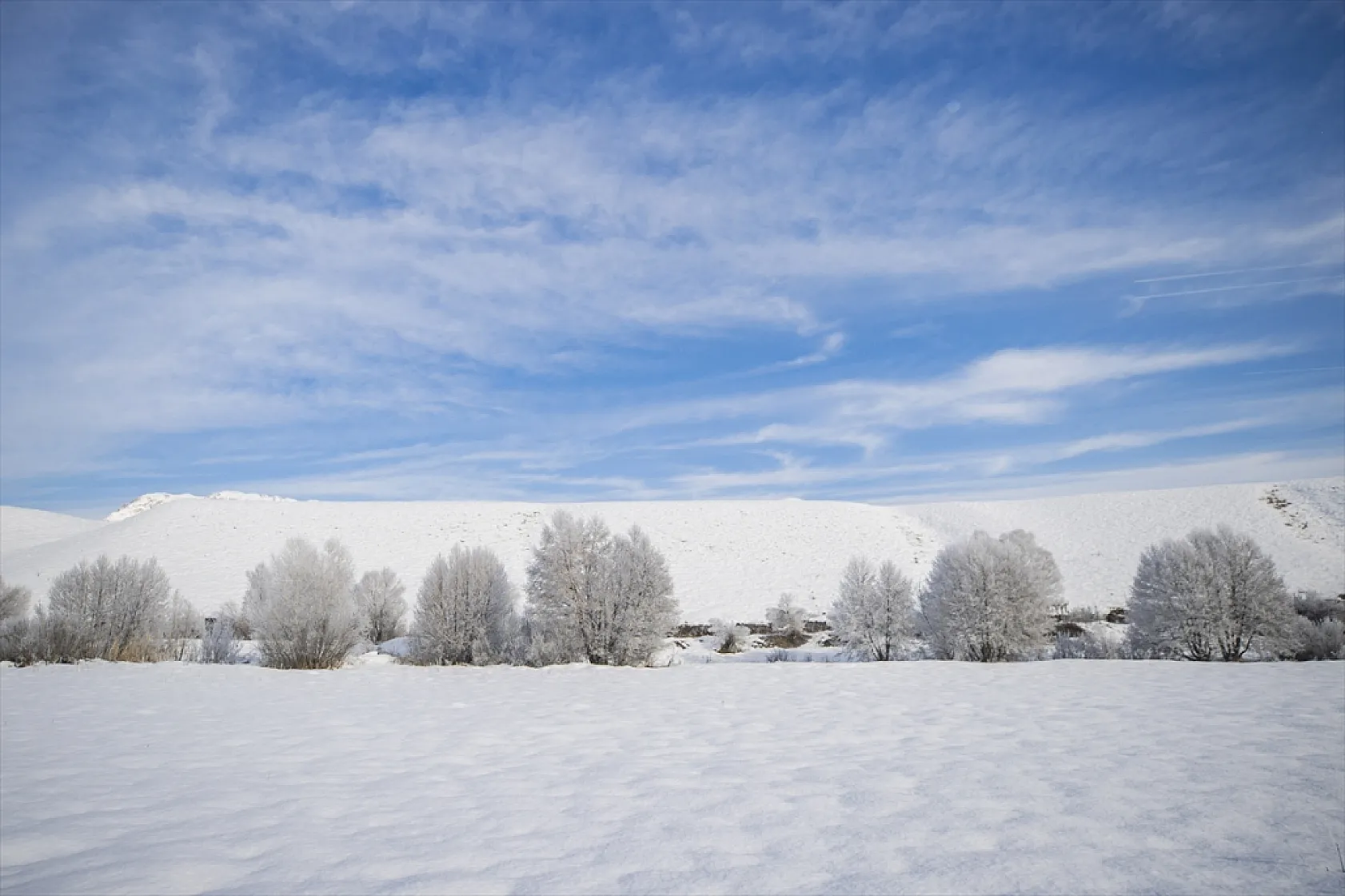Soğuk hava nedeniyle ağaçlar kırağı tuttu