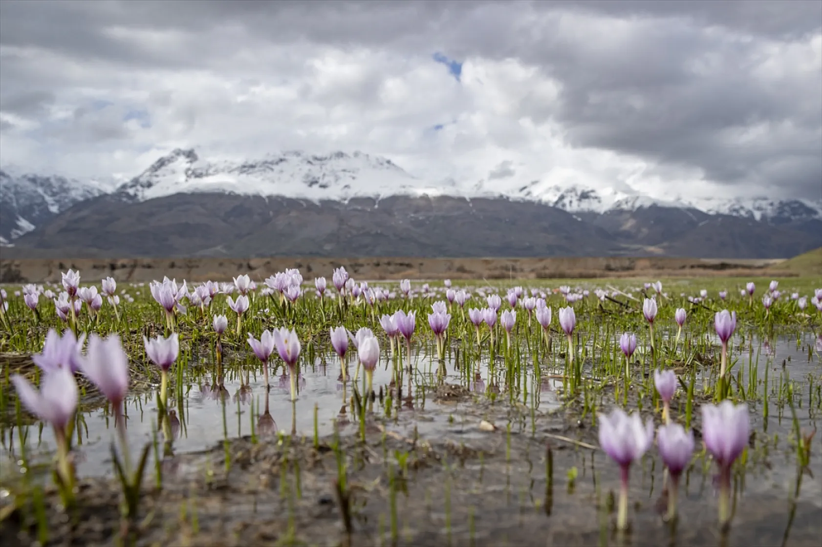Munzur'da bahar güzelliği