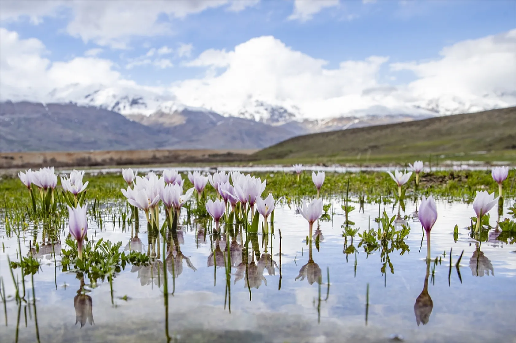 Munzur'da bahar güzelliği