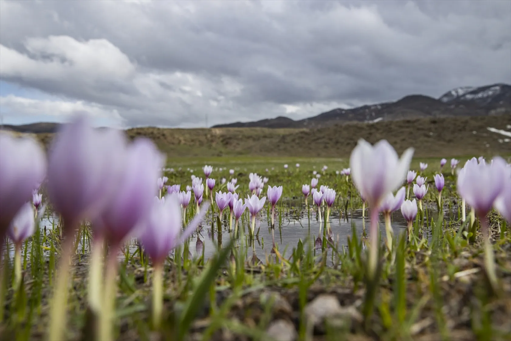 Munzur'da bahar güzelliği