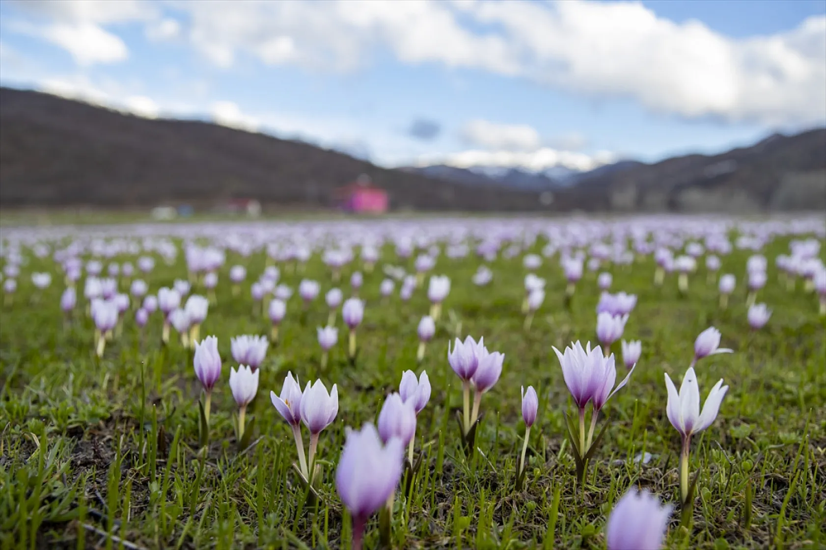 Munzur'da bahar güzelliği