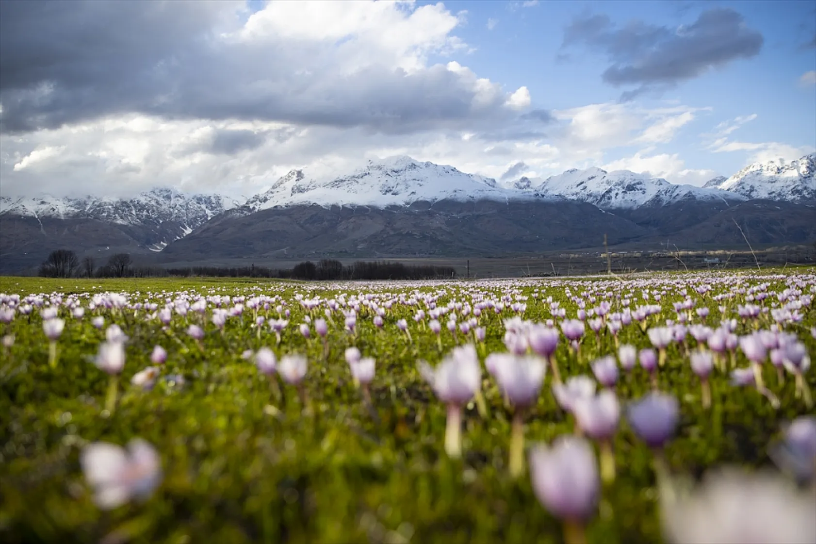 Munzur'da bahar güzelliği