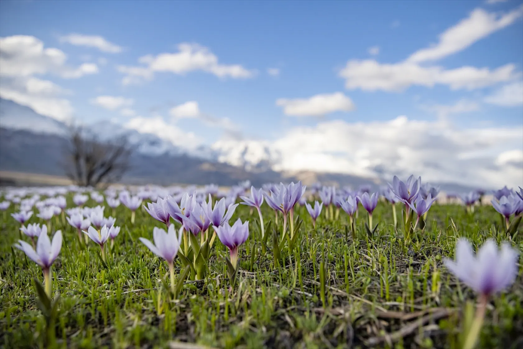 Munzur'da bahar güzelliği