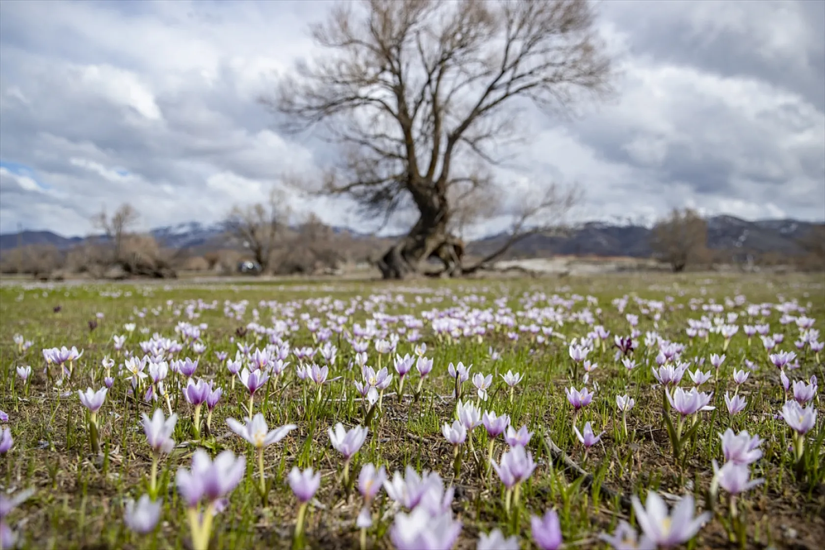 Munzur'da bahar güzelliği