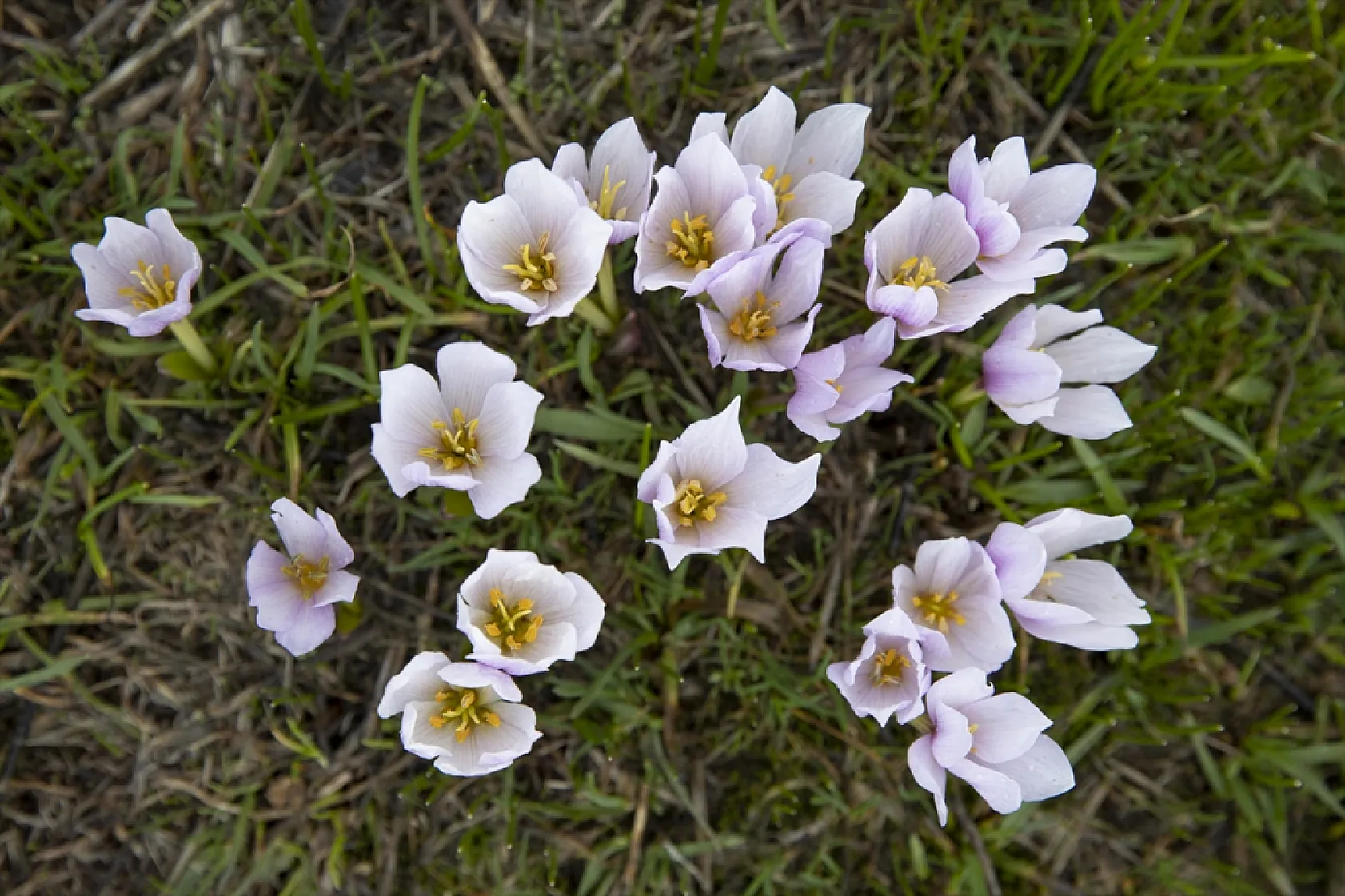 Munzur'da bahar güzelliği