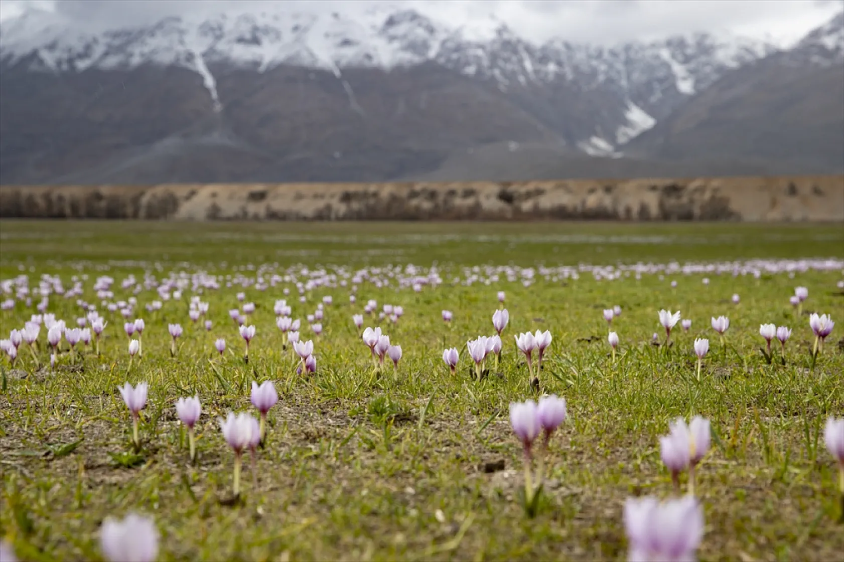 Munzur'da bahar güzelliği