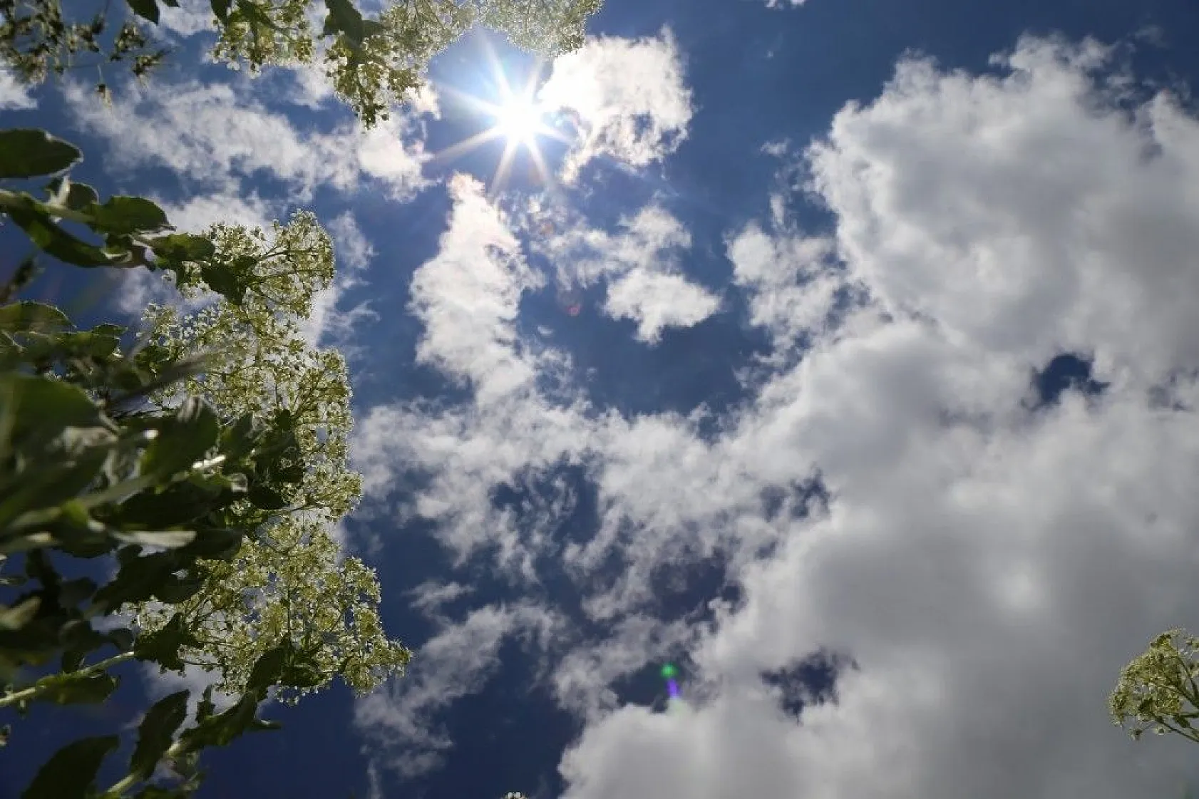 Elazığ baharla birlikte renk cümbüşüne büründü