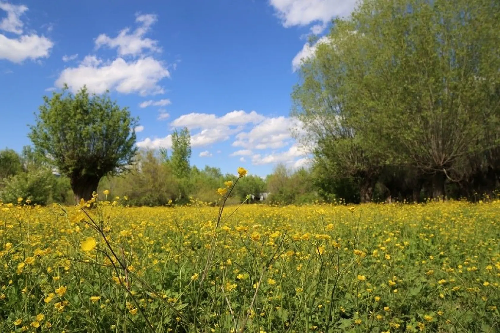 Elazığ baharla birlikte renk cümbüşüne büründü