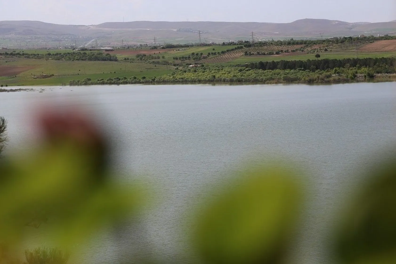 Cip Barajı baharın gelmesiyle birlikte doğal güzelliğe büründü
