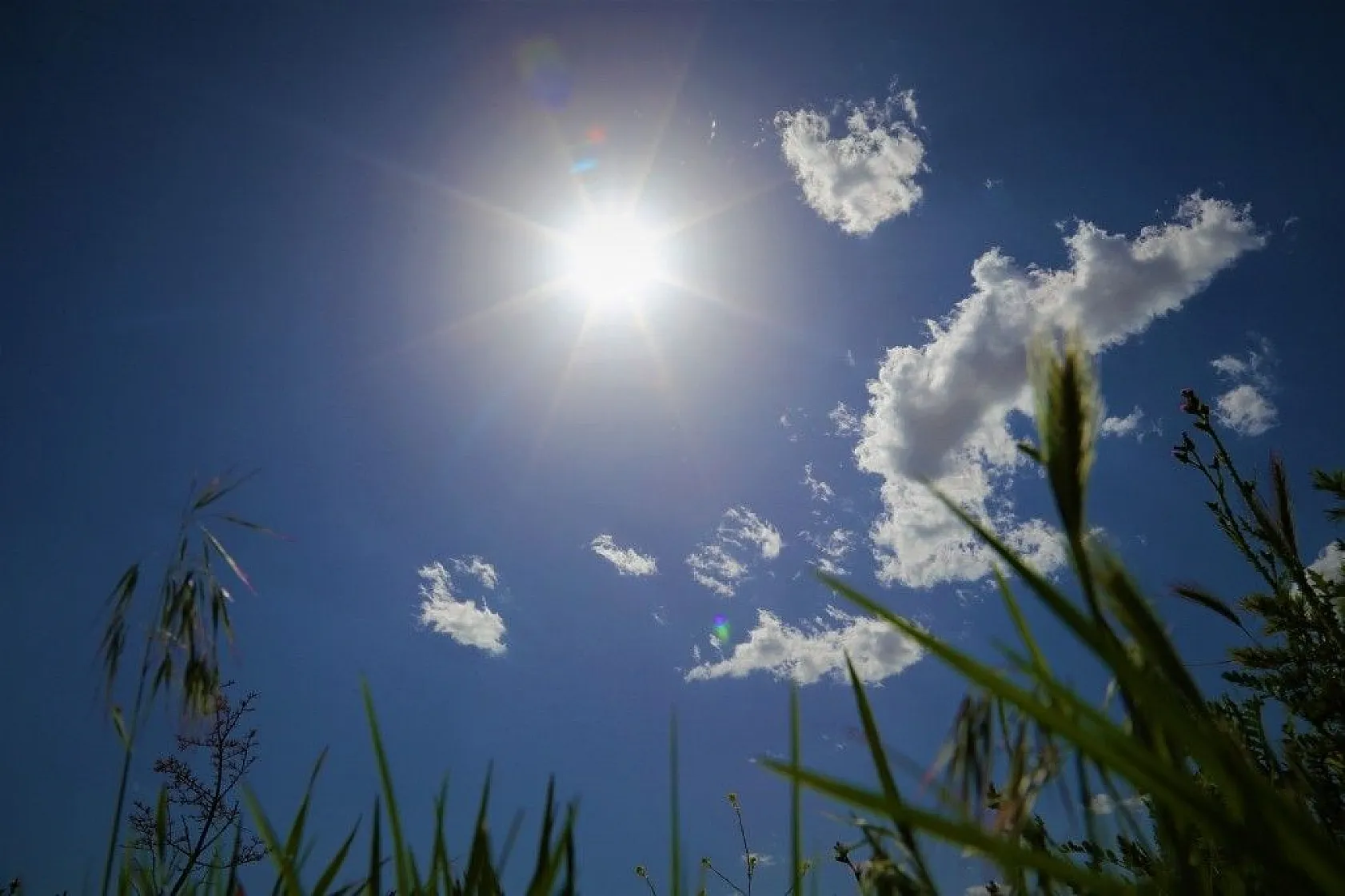 Cip Barajı baharın gelmesiyle birlikte doğal güzelliğe büründü