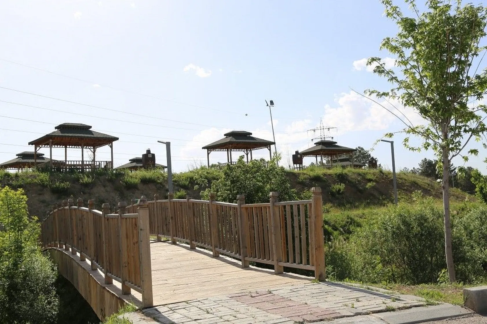 Cip Barajı baharın gelmesiyle birlikte doğal güzelliğe büründü