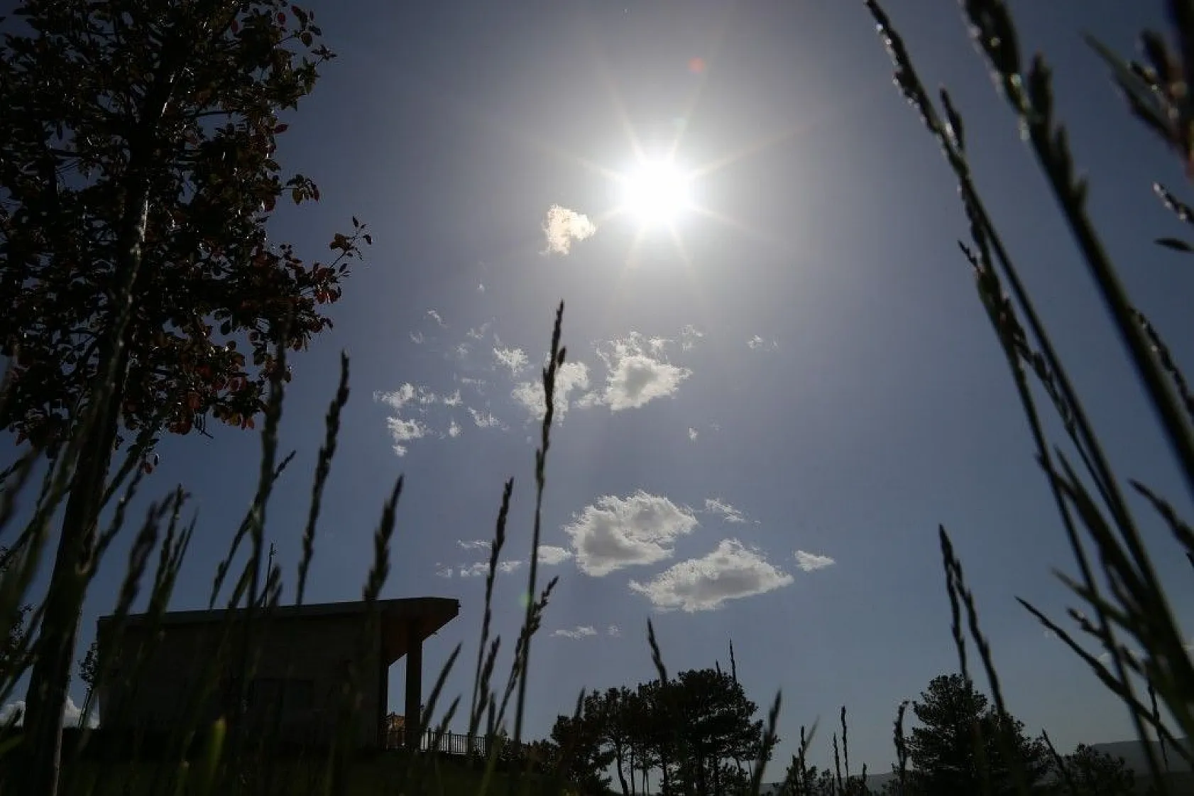 Cip Barajı baharın gelmesiyle birlikte doğal güzelliğe büründü