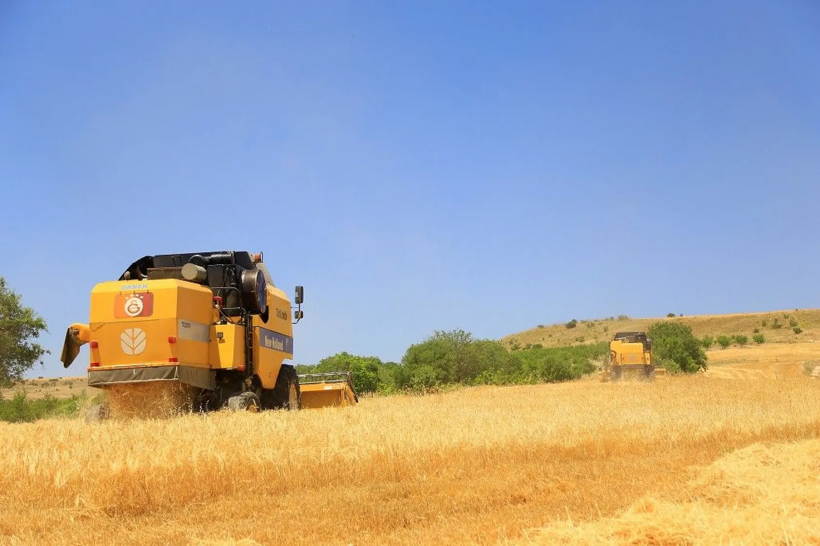 Toplam 600 dönüme arpa eken başkan, hasada başladı