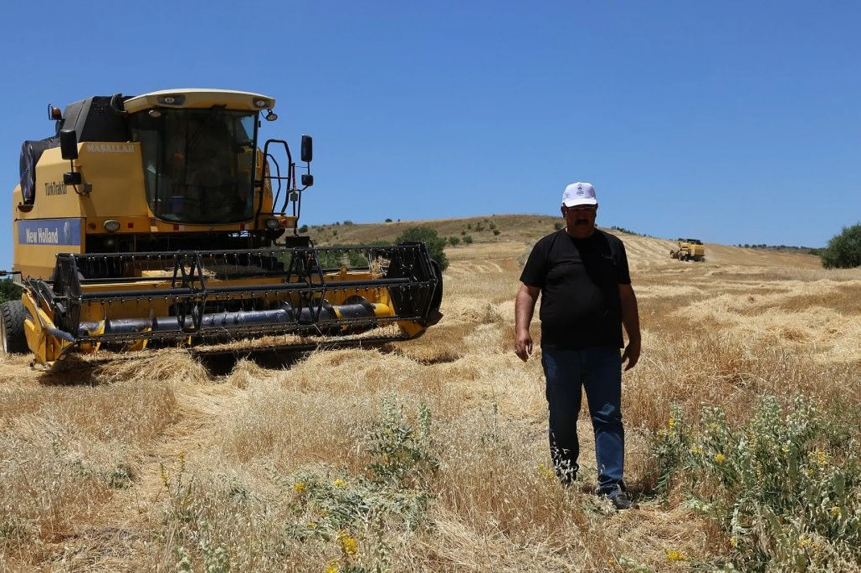 Toplam 600 dönüme arpa eken başkan, hasada başladı