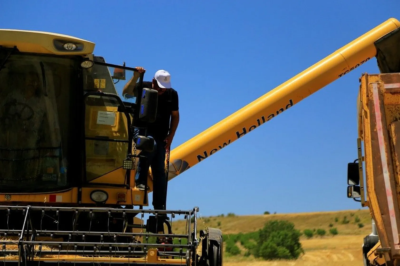 Toplam 600 dönüme arpa eken başkan, hasada başladı
