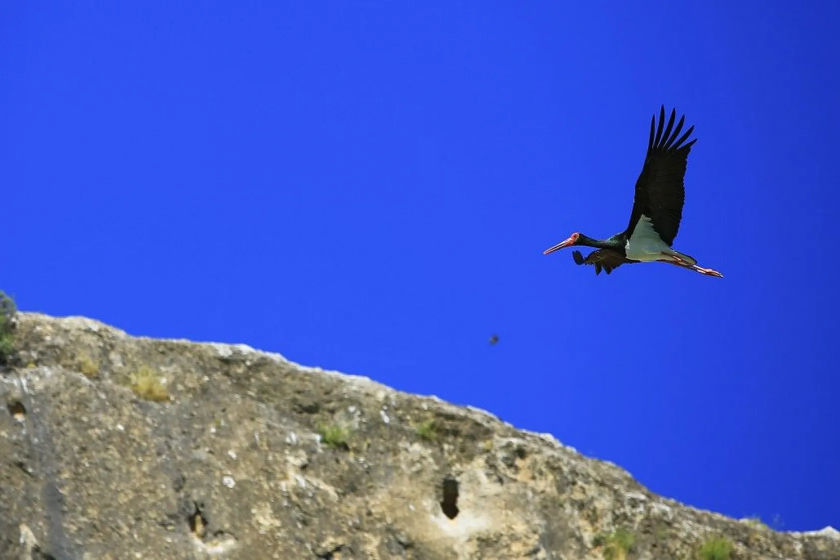 Karaleylek Kanyonun'dan muhteşem görüntüler