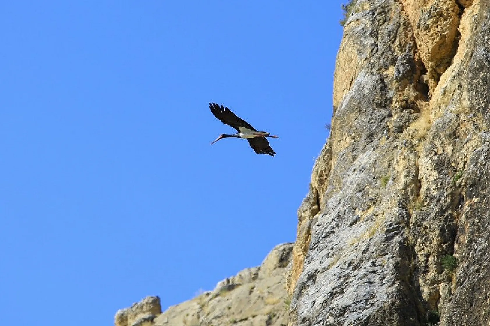 Karaleylek Kanyonun'dan muhteşem görüntüler
