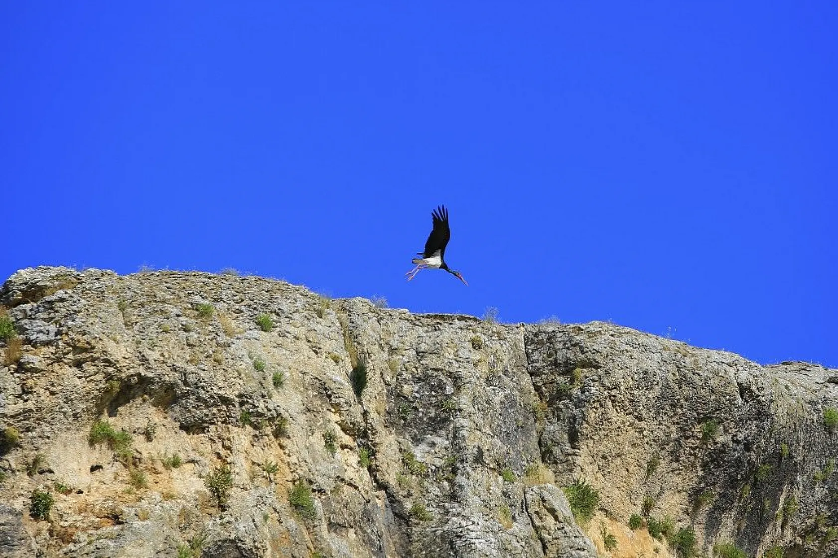 Karaleylek Kanyonun'dan muhteşem görüntüler