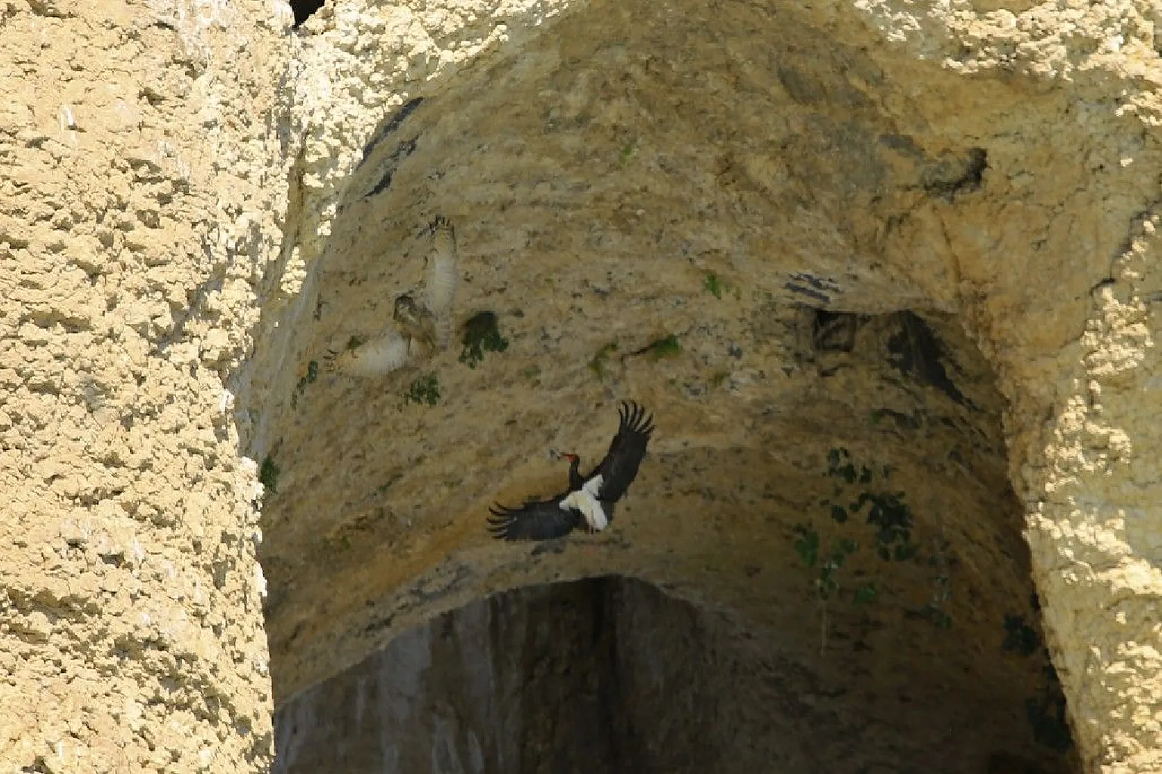 Karaleylek Kanyonun'dan muhteşem görüntüler