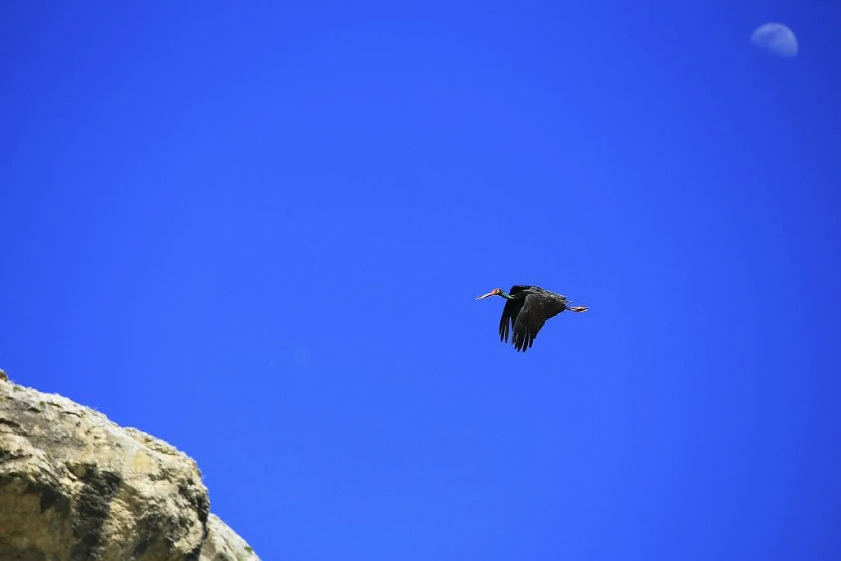 Karaleylek Kanyonun'dan muhteşem görüntüler