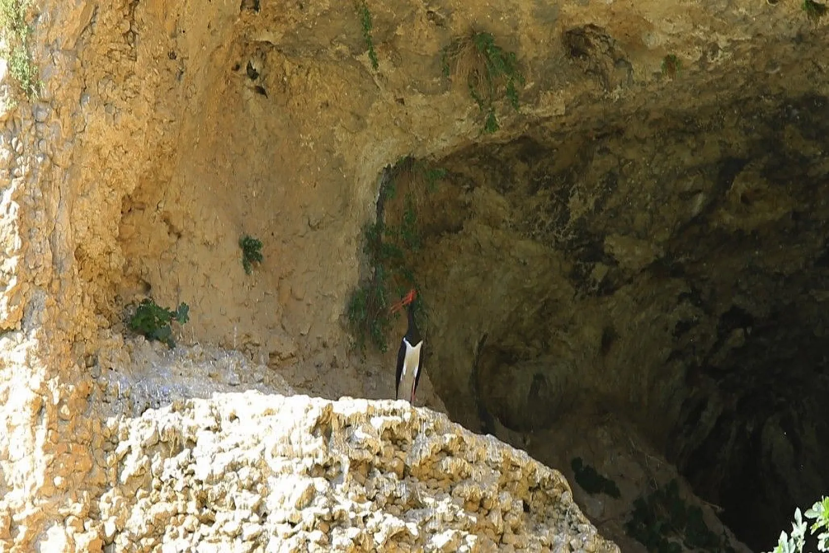 Karaleylek Kanyonun'dan muhteşem görüntüler