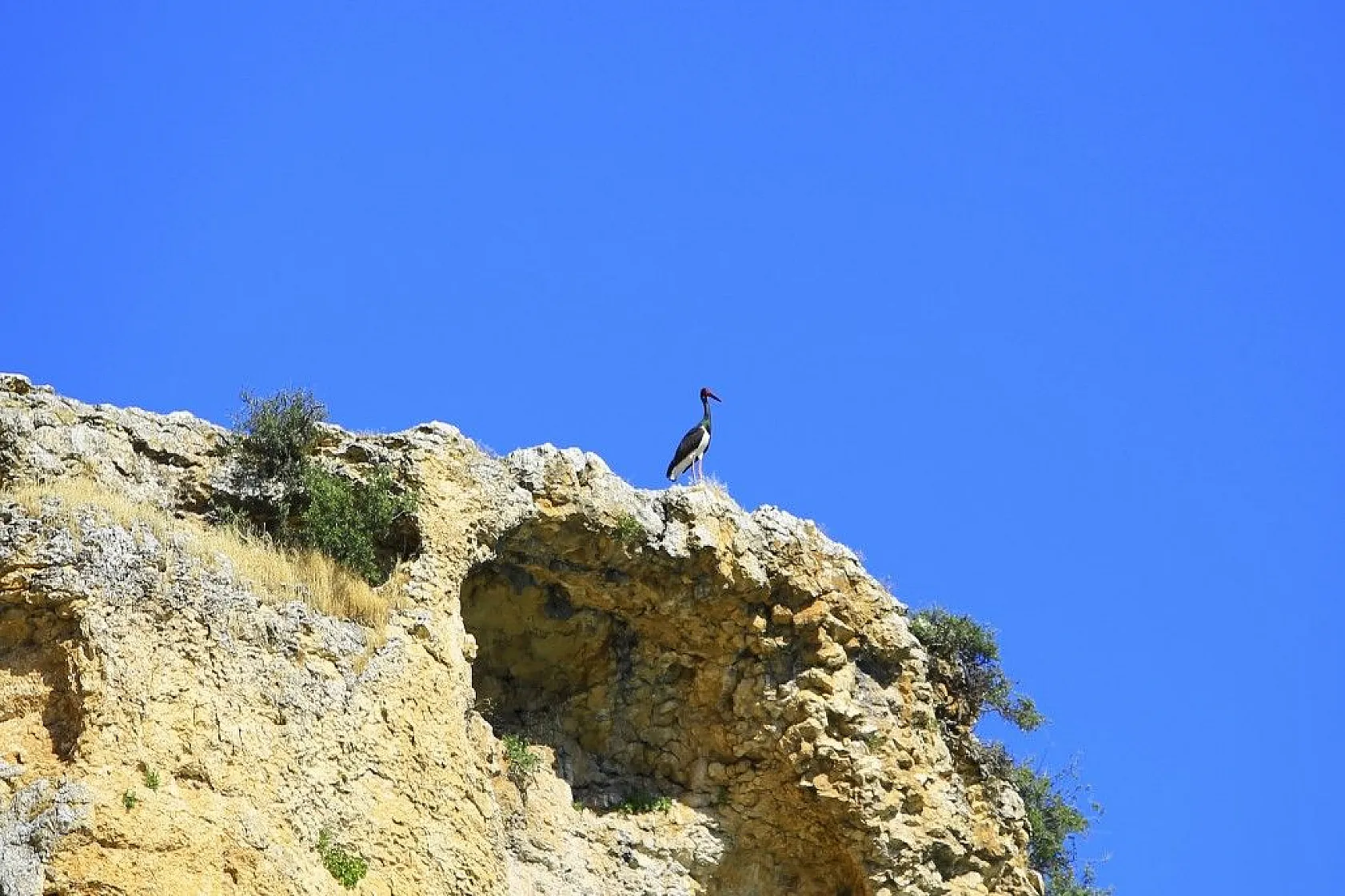 Karaleylek Kanyonun'dan muhteşem görüntüler