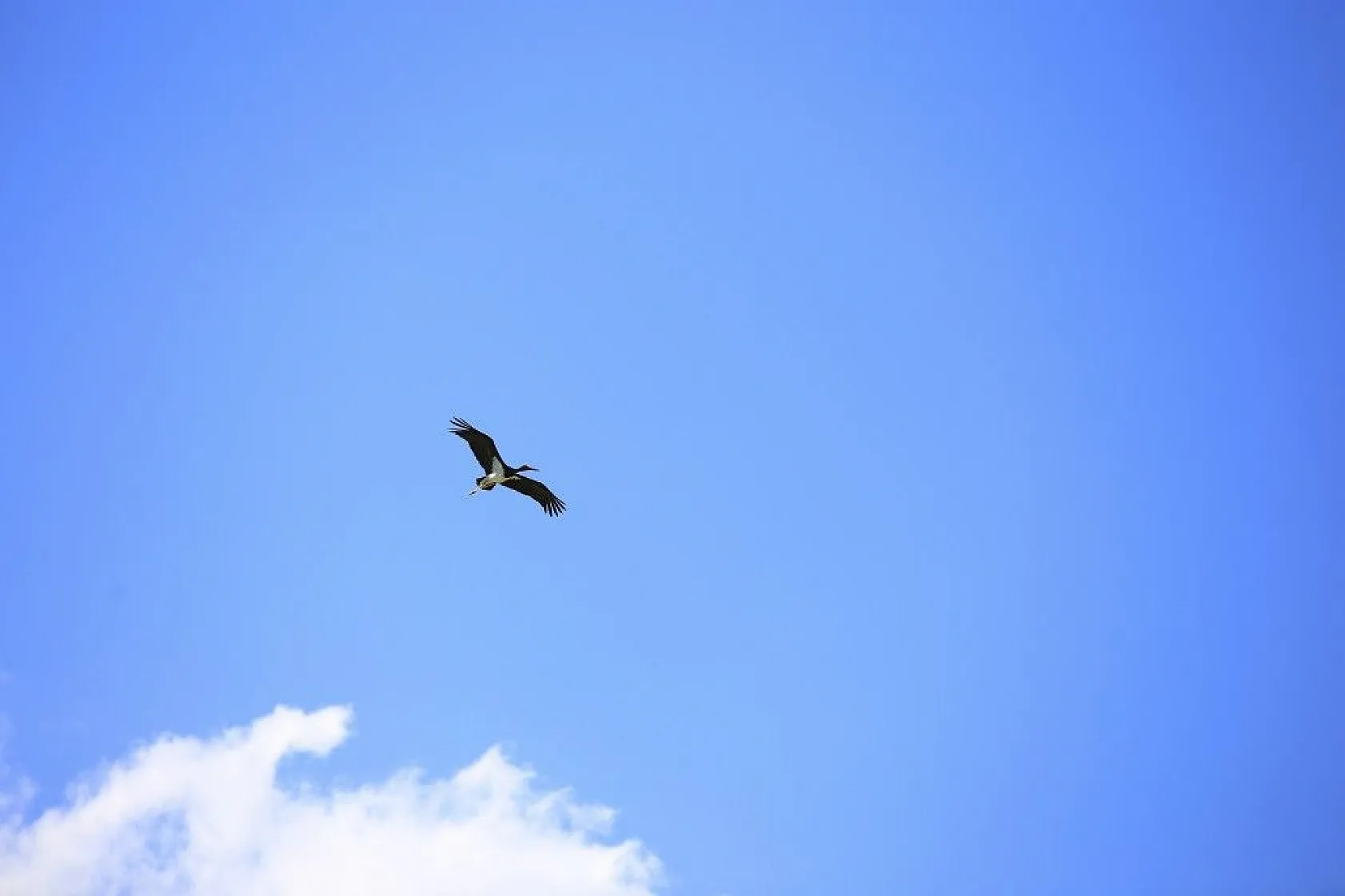 Karaleylek Kanyonun'dan muhteşem görüntüler