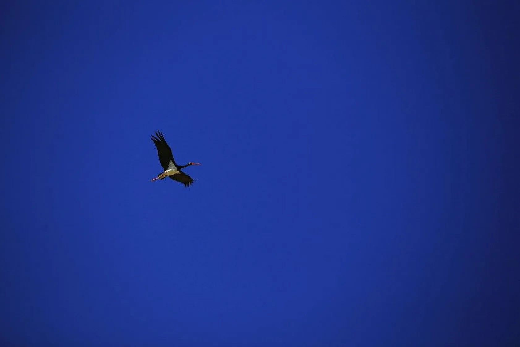 Karaleylek Kanyonun'dan muhteşem görüntüler