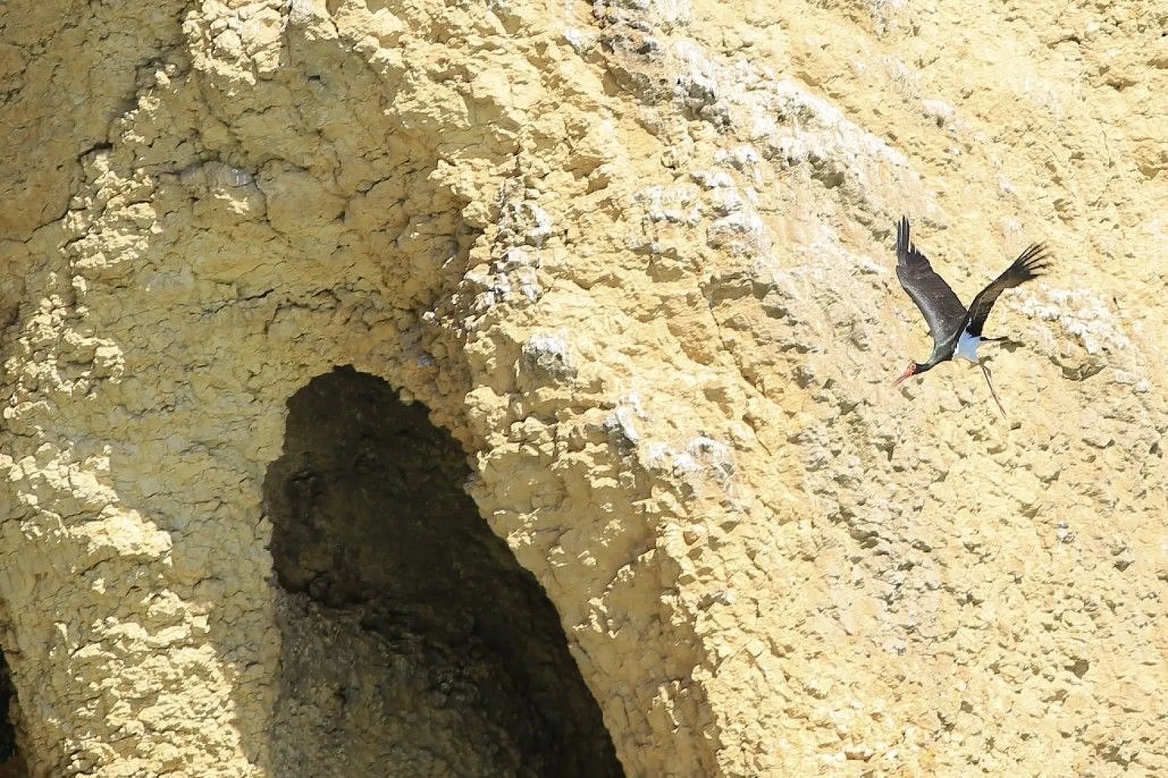 Karaleylek Kanyonun'dan muhteşem görüntüler