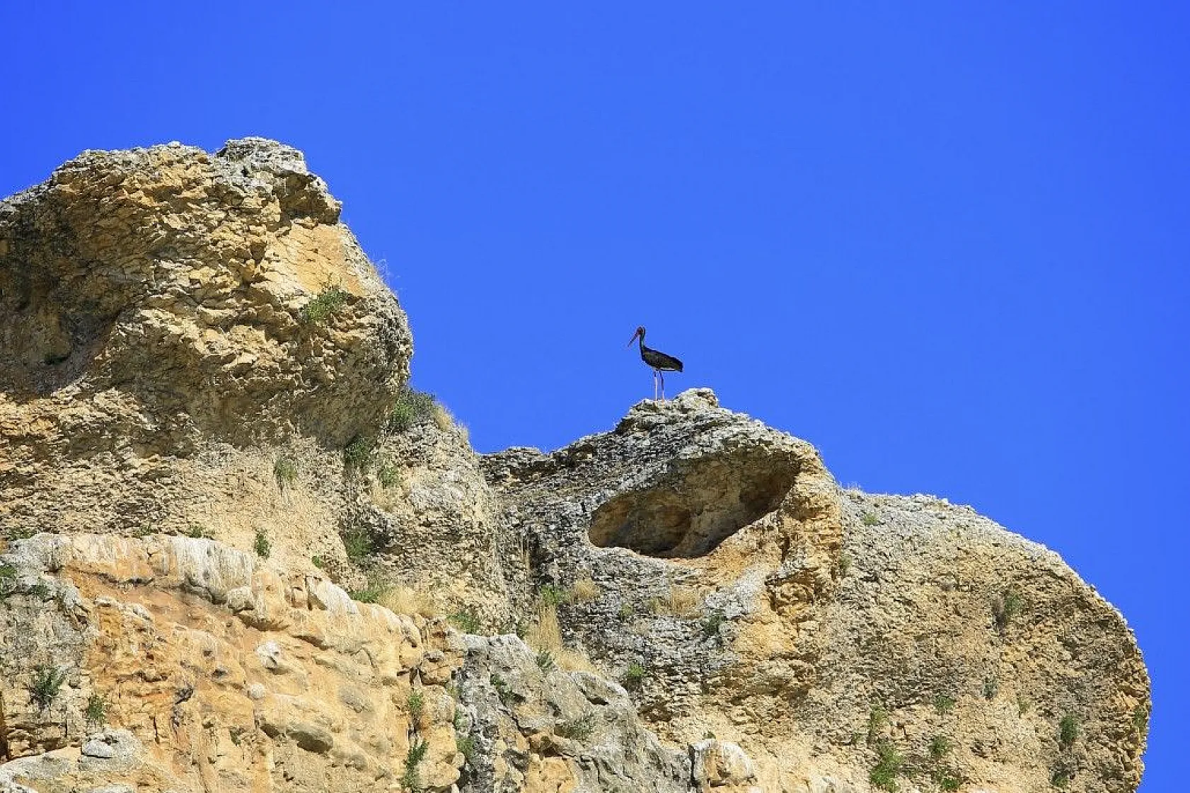 Karaleylek Kanyonun'dan muhteşem görüntüler