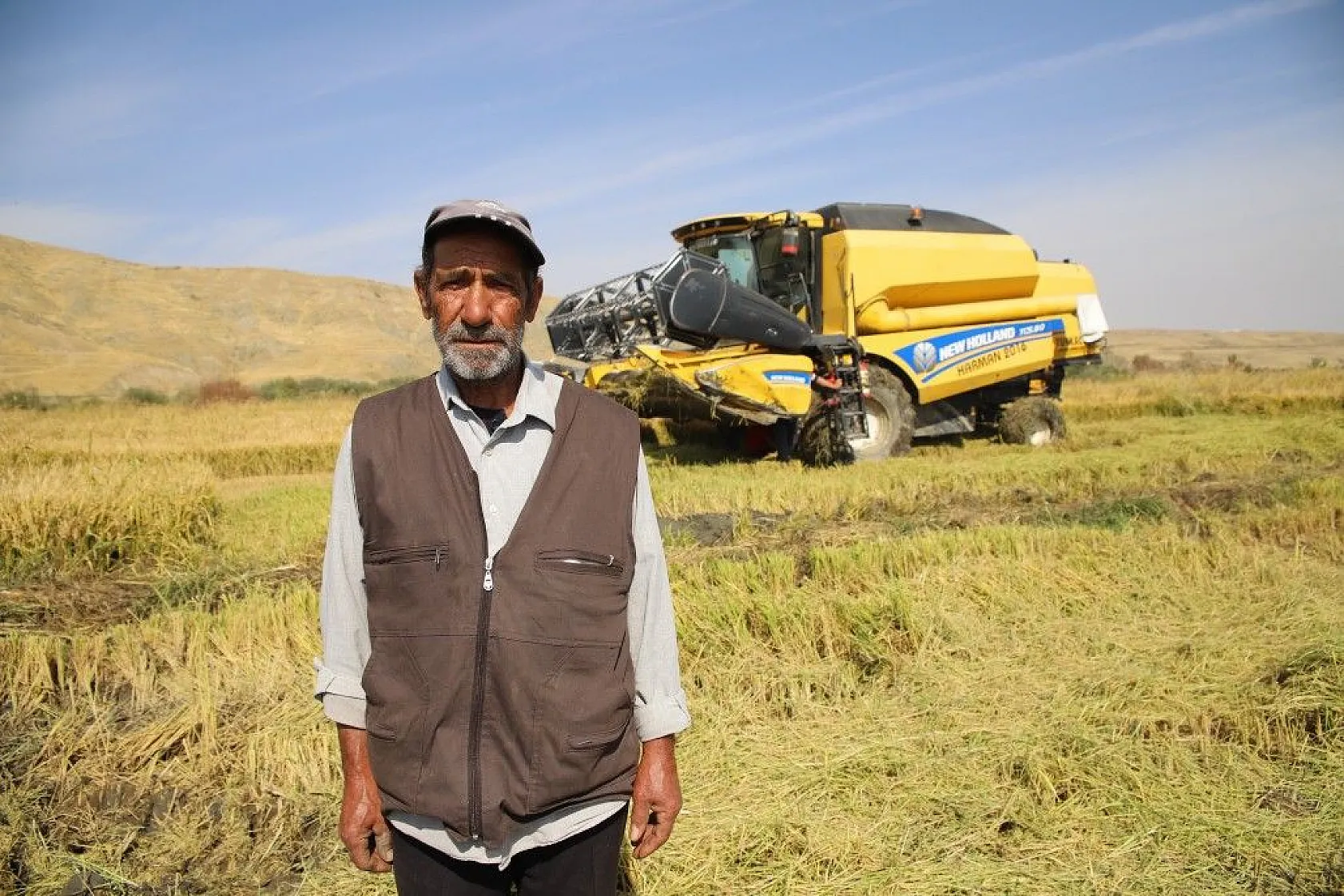 Murat Nehri'nin yatağında pirinç hasadı başladı