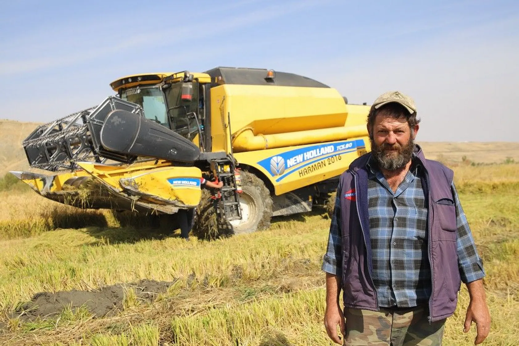 Murat Nehri'nin yatağında pirinç hasadı başladı