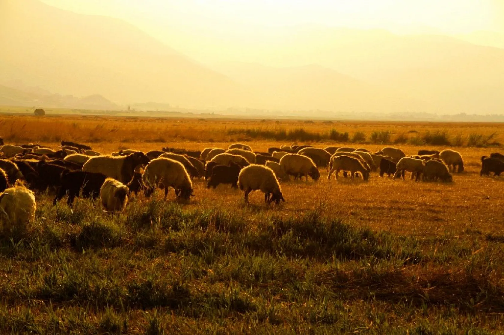 Yüksekova'da sonbahar güzelliği