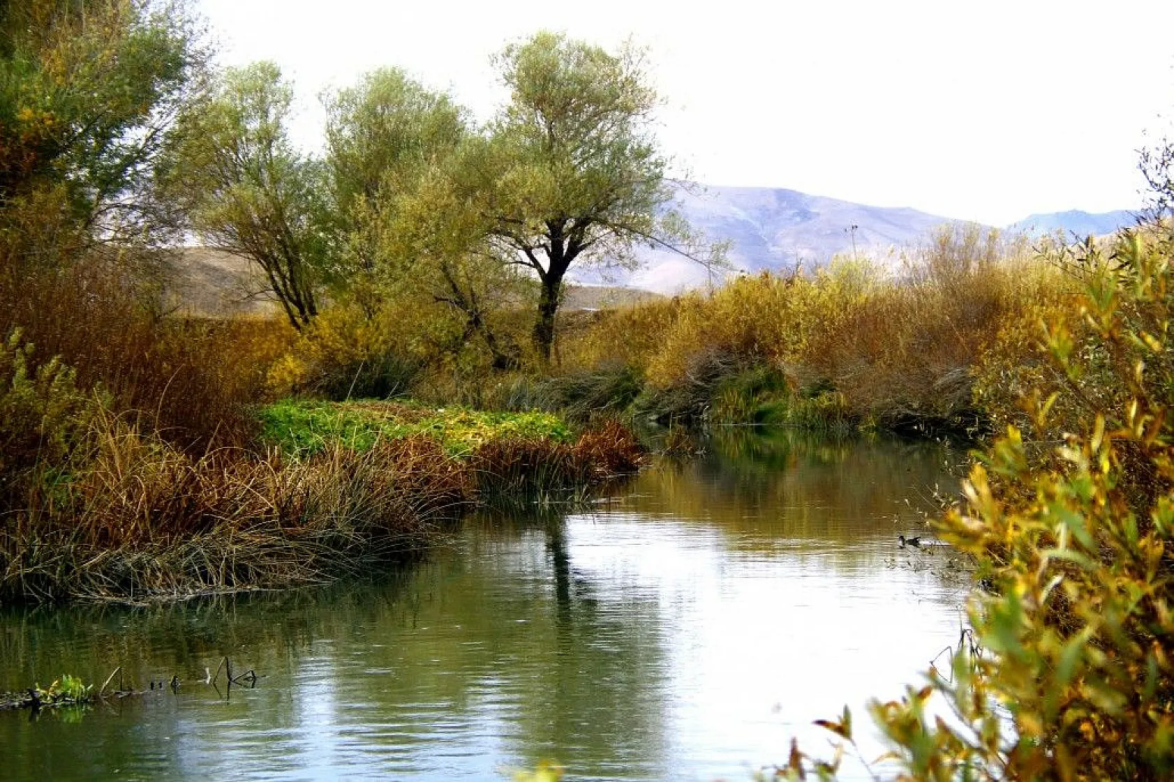 Yüksekova'da sonbahar güzelliği