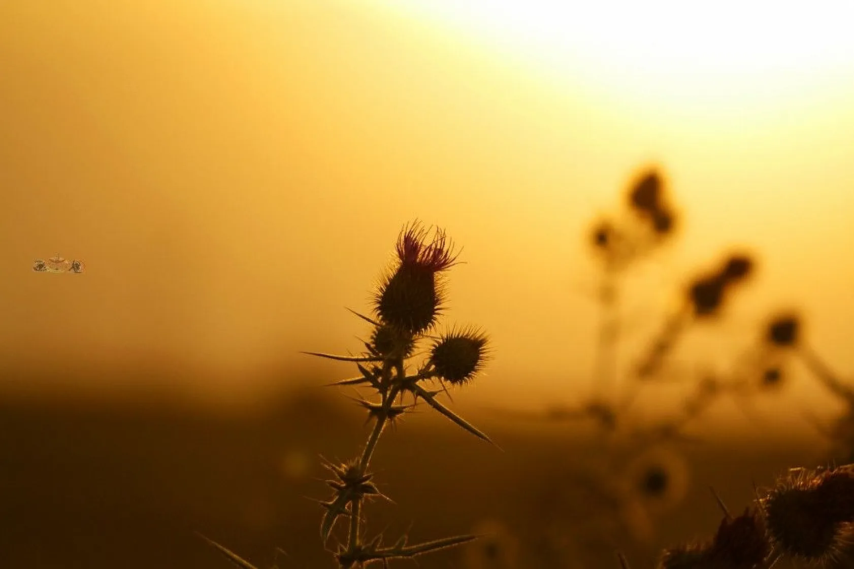Yüksekova'da sonbahar güzelliği