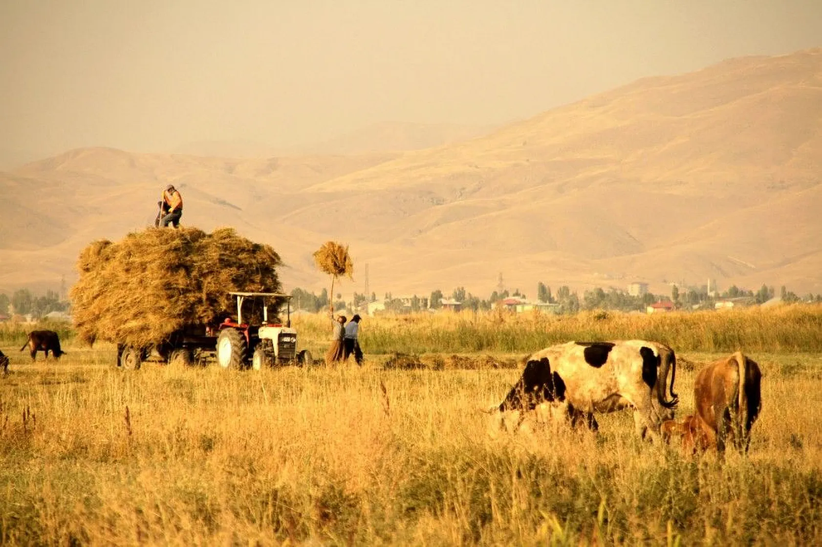 Yüksekova'da sonbahar güzelliği