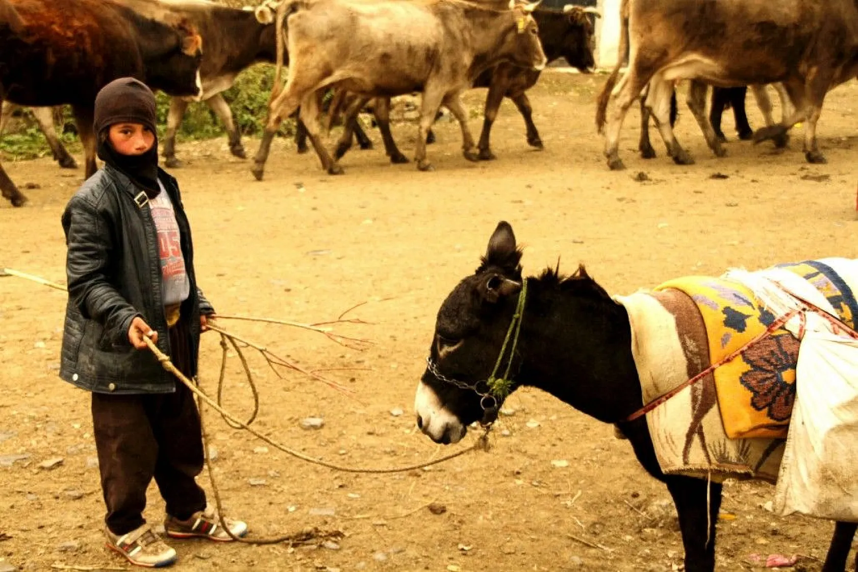 Yüksekova'da sonbahar güzelliği