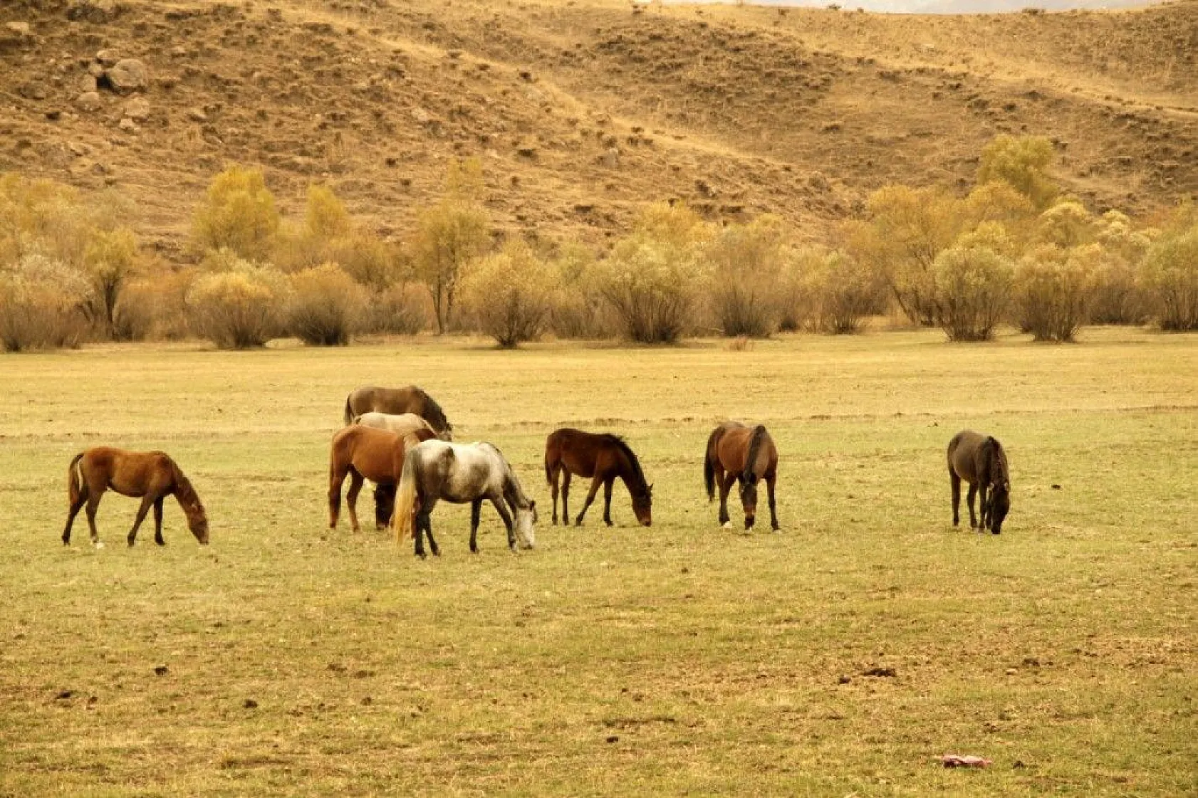 Yüksekova'da sonbahar güzelliği