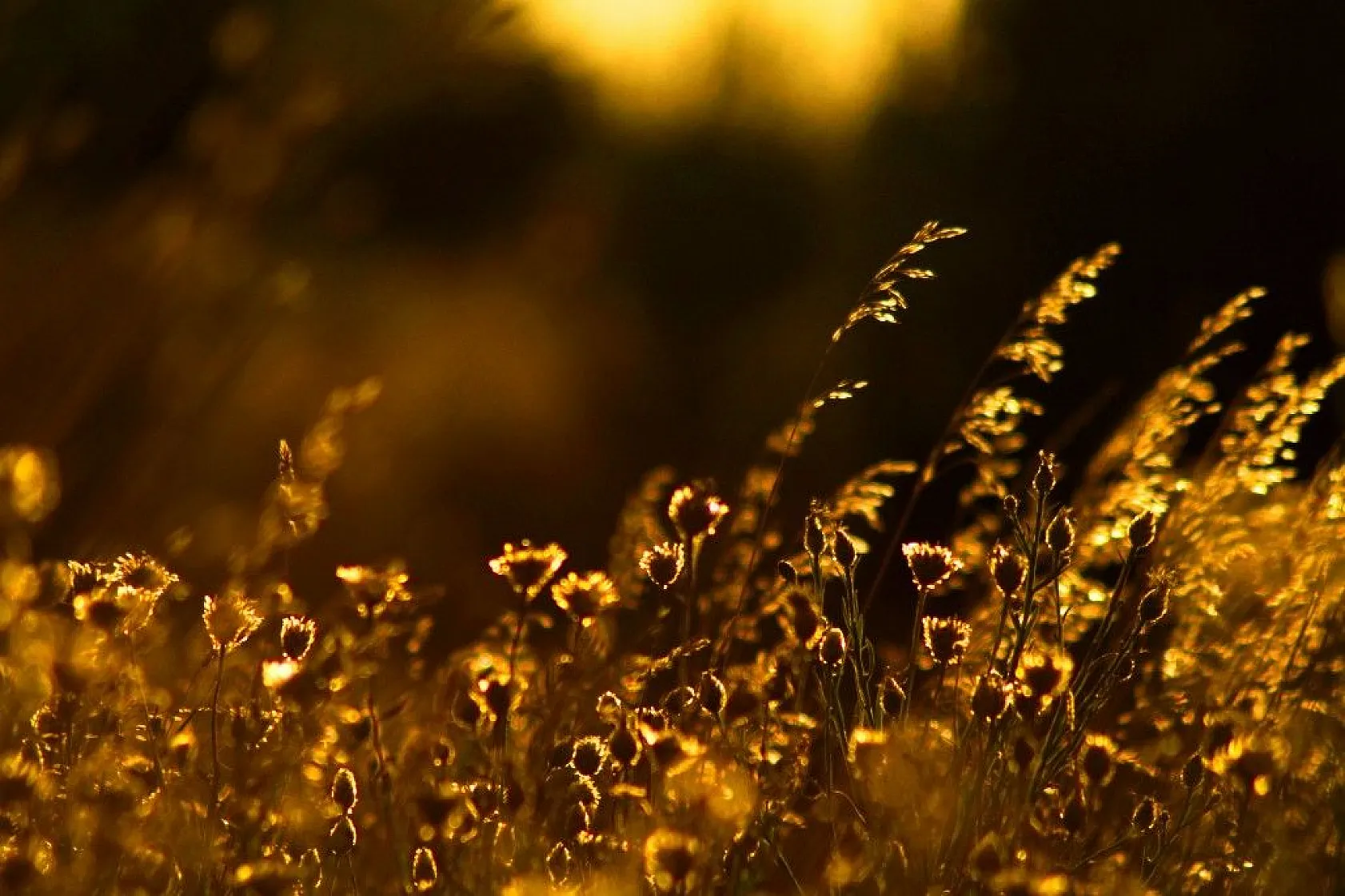 Yüksekova'da sonbahar güzelliği