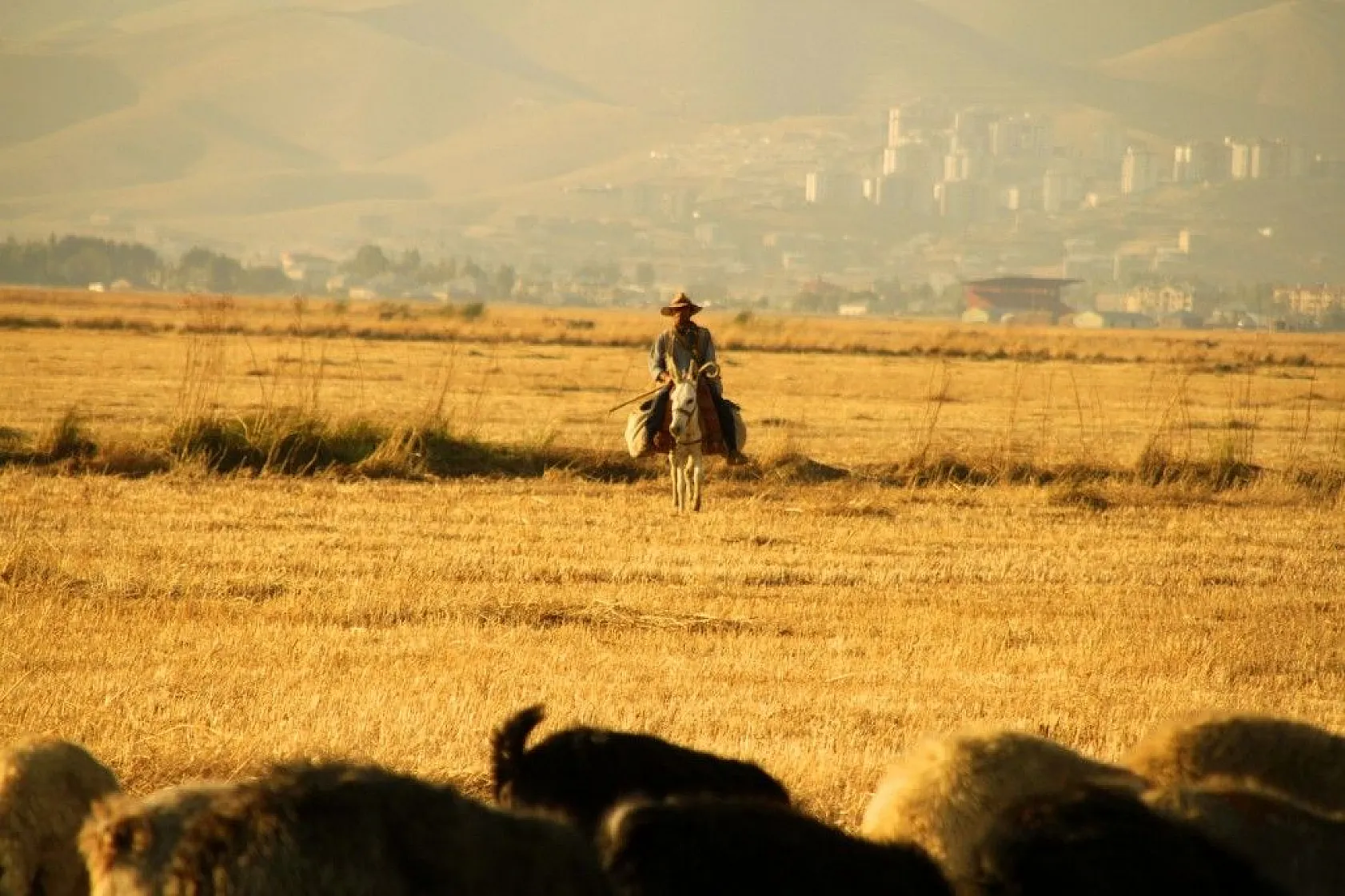 Yüksekova'da sonbahar güzelliği