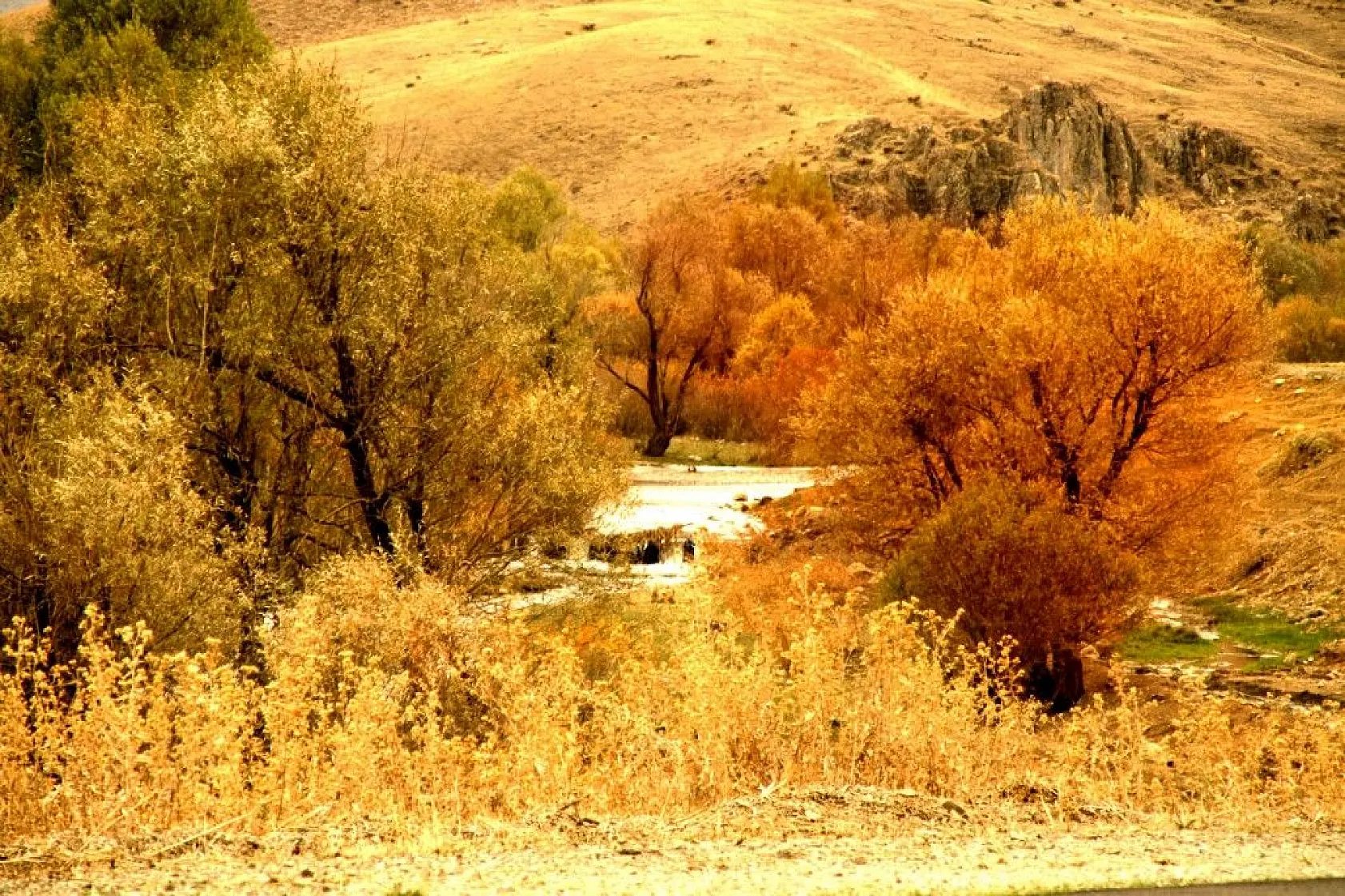 Yüksekova'da sonbahar güzelliği