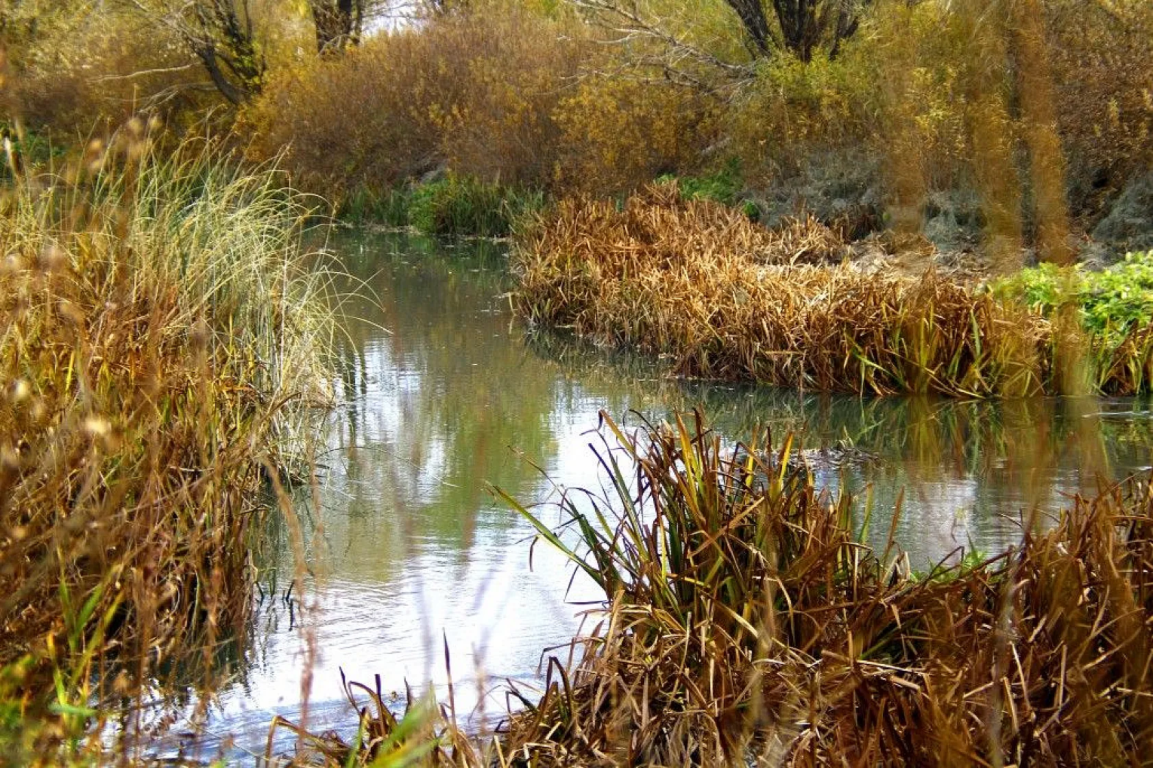 Yüksekova'da sonbahar güzelliği
