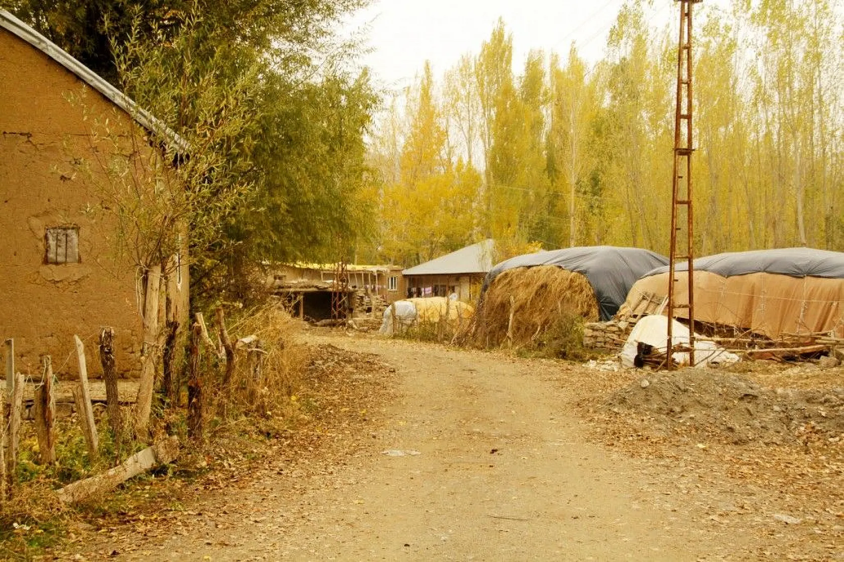Yüksekova'da sonbahar güzelliği