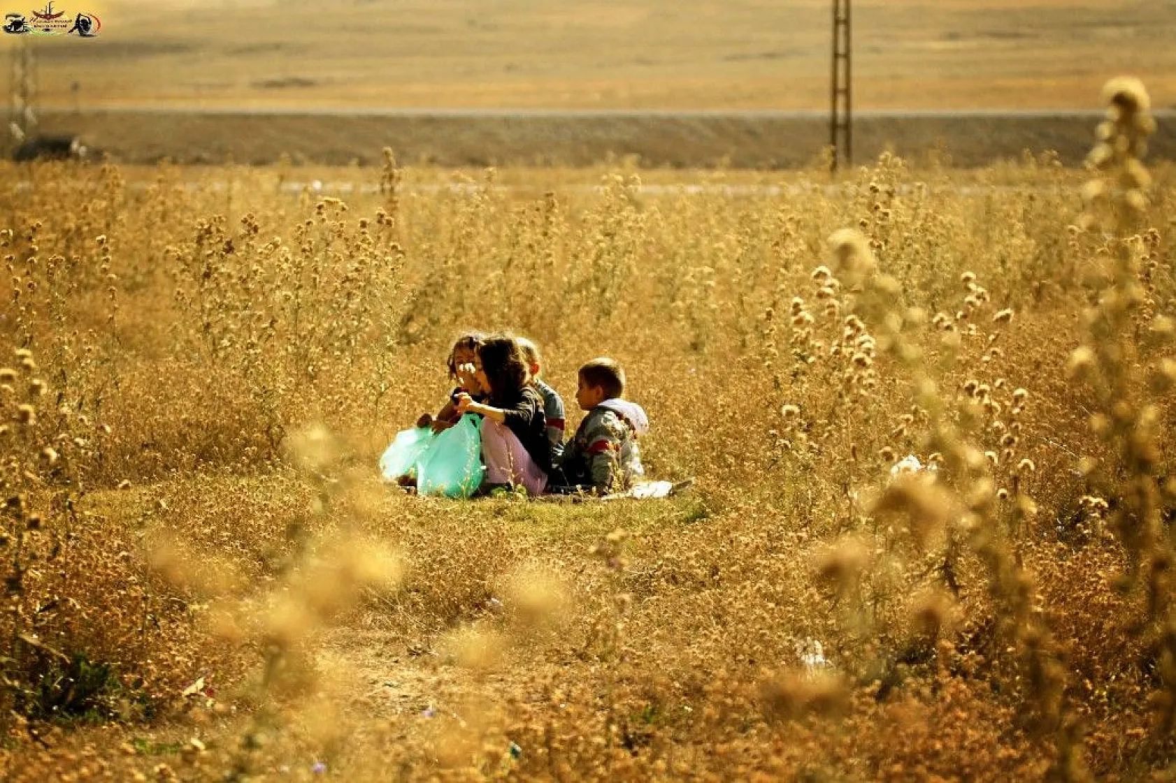 Yüksekova'da sonbahar güzelliği