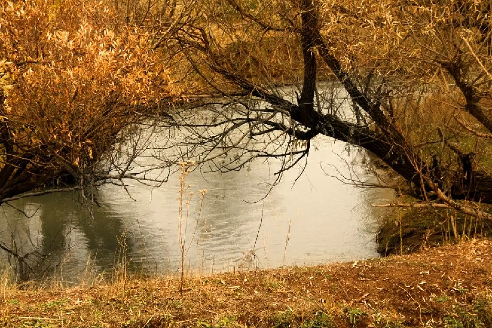 Yüksekova'da sonbahar güzelliği